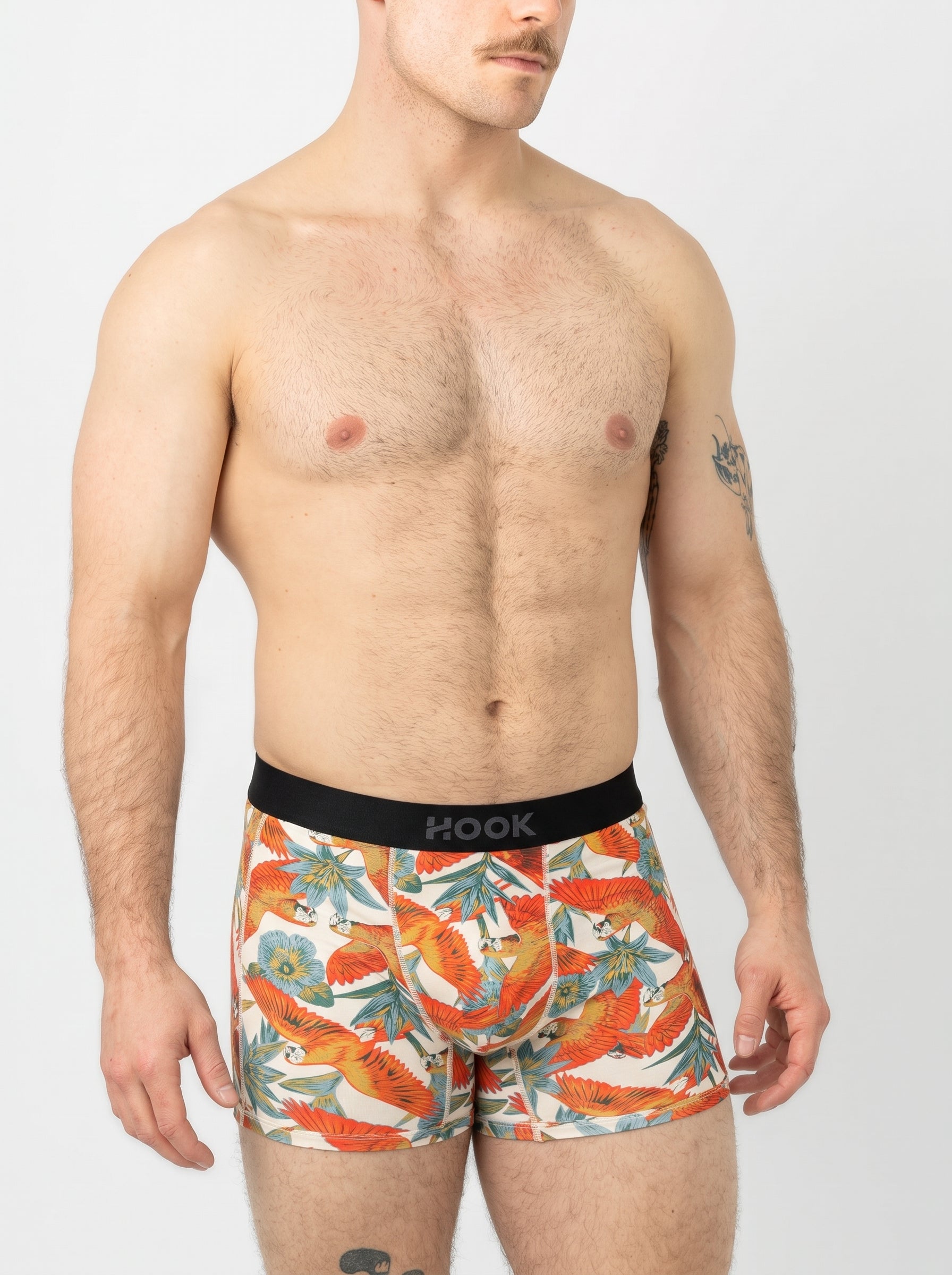 Boxer court Max – 3,5 po : Perroquets