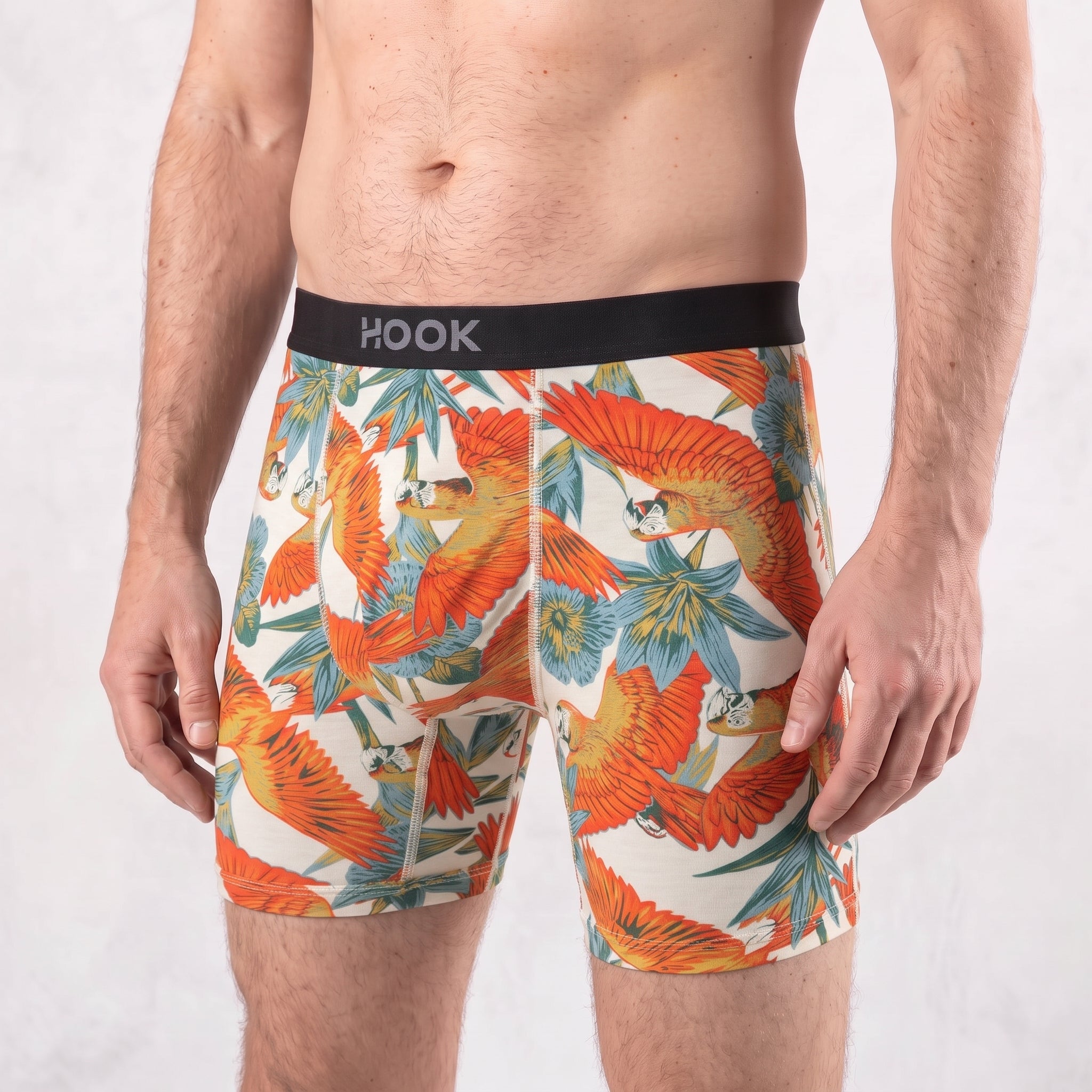 Boxer Max – 6 po : Perroquets