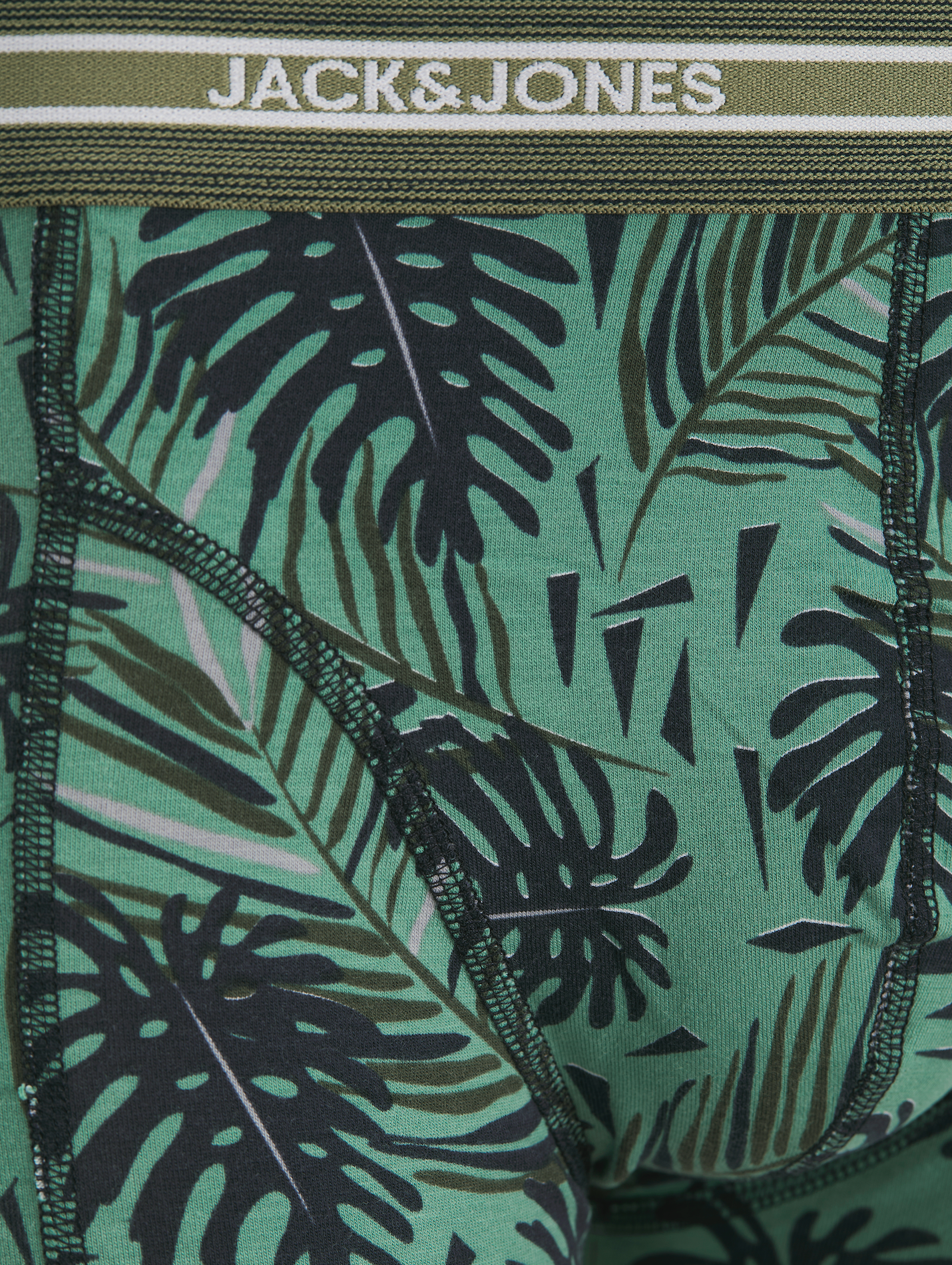 Boxer court Ezra : Green