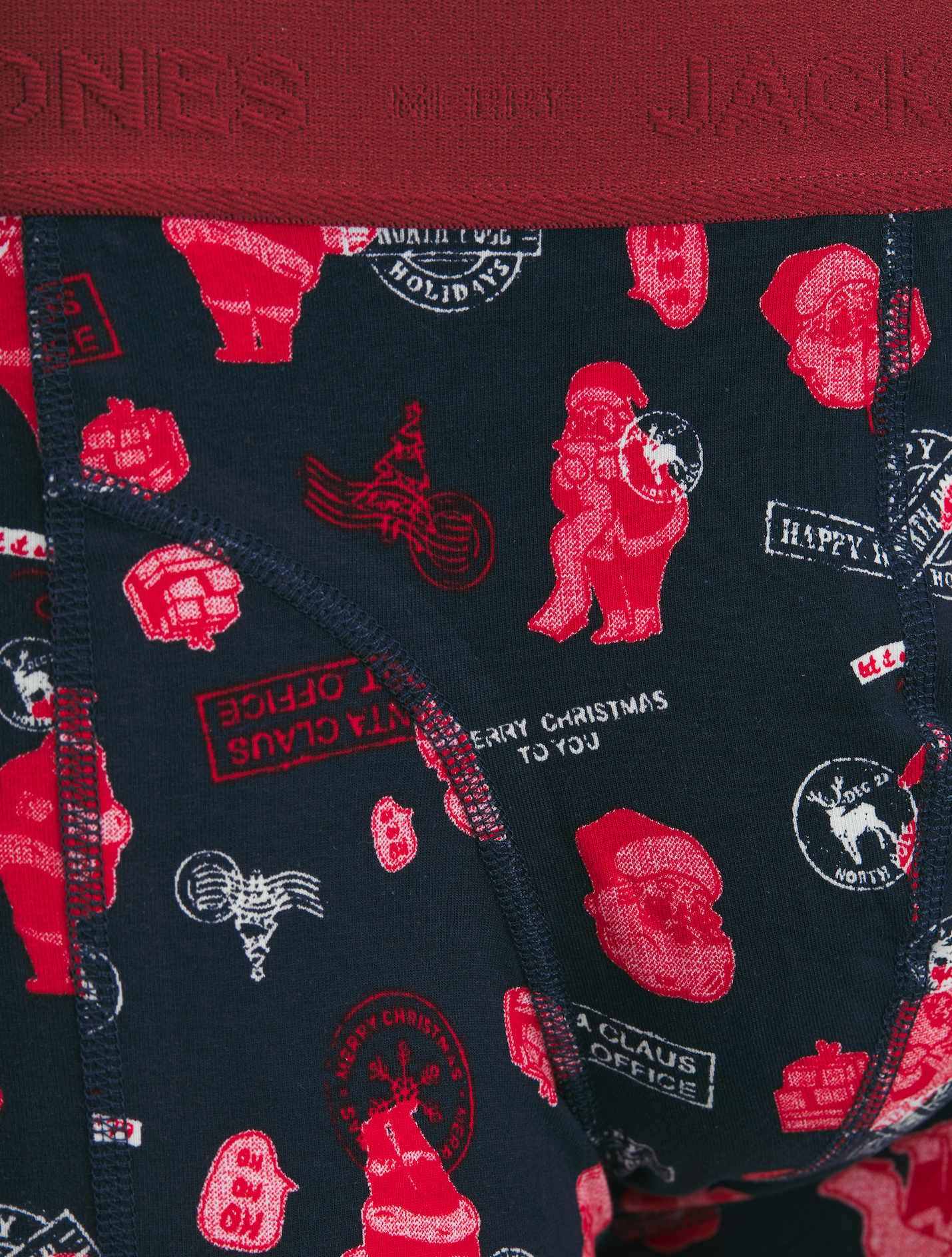 Boxer court Holiday : Père Noël