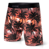 Boxer Max – 6 po : Palmiers