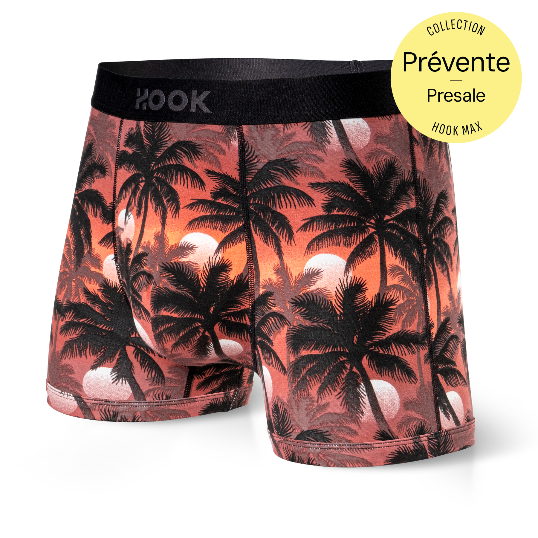 Boxer court Max – 3,5 po : PALMIERS