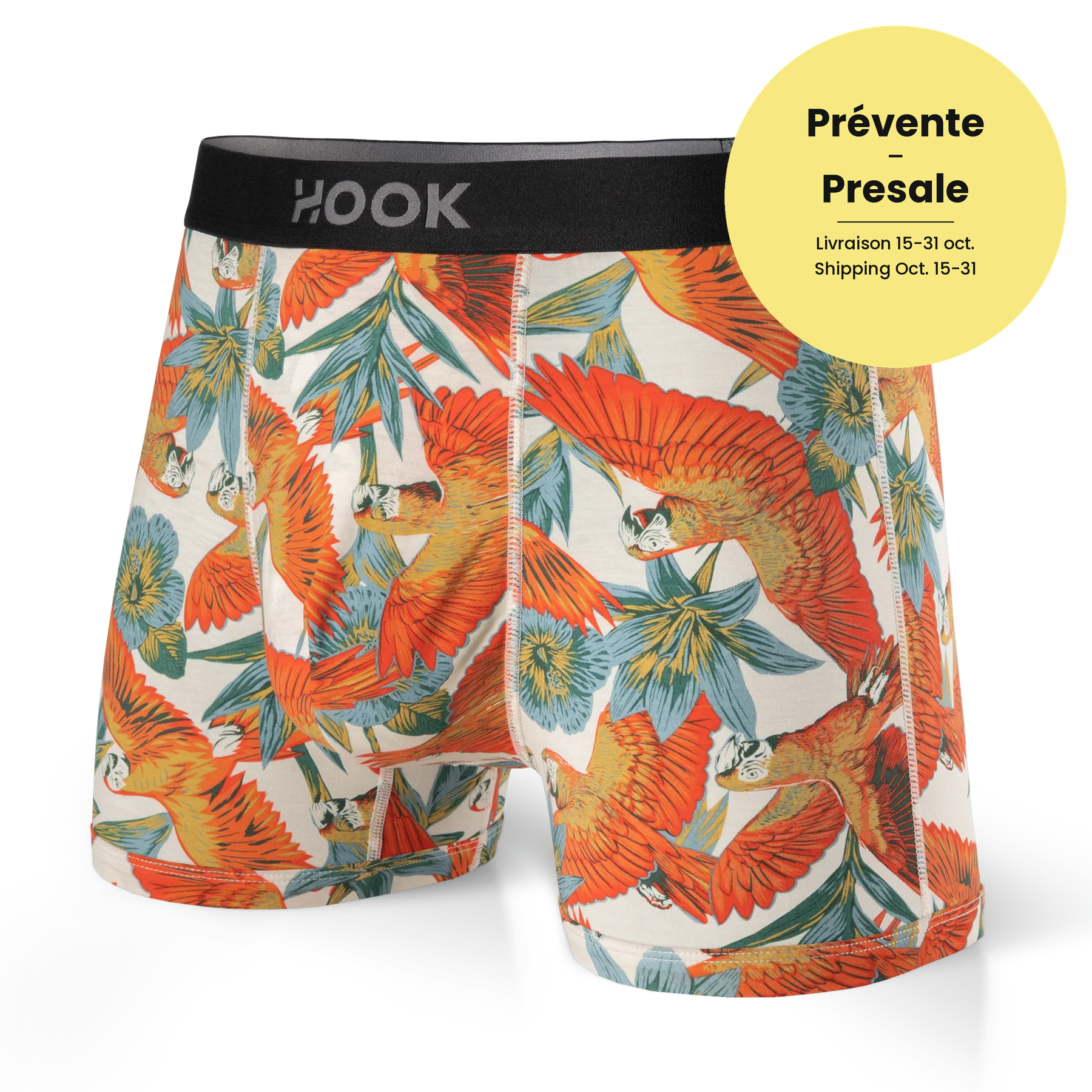 Boxer court Max – 3,5 po : Perroquets