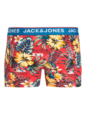 Boxer court Jack & Jones AZORE Pompain Red