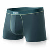 Boxer court Daily : Vert