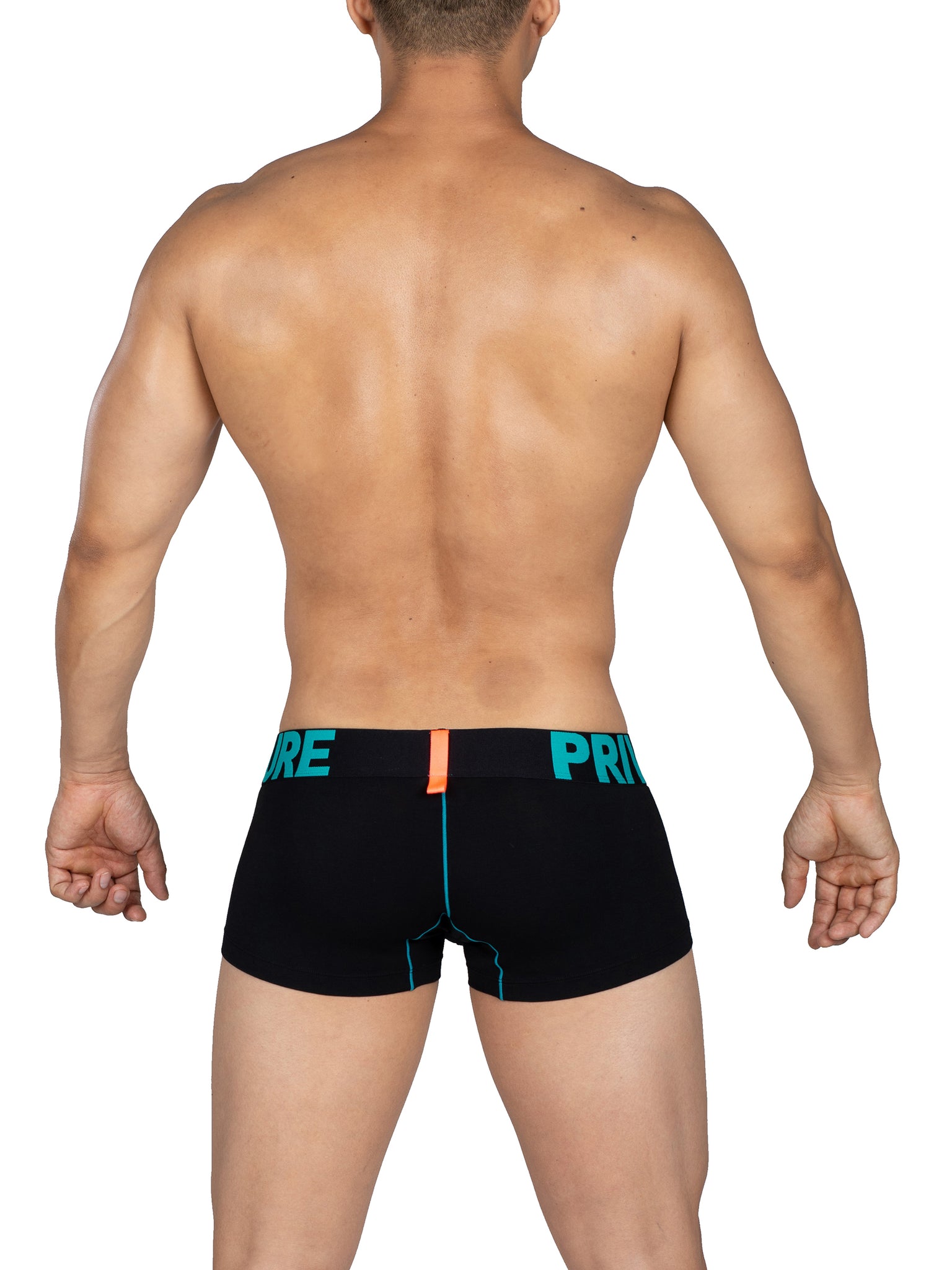 Boxer court Private Structure Black/Turquoise