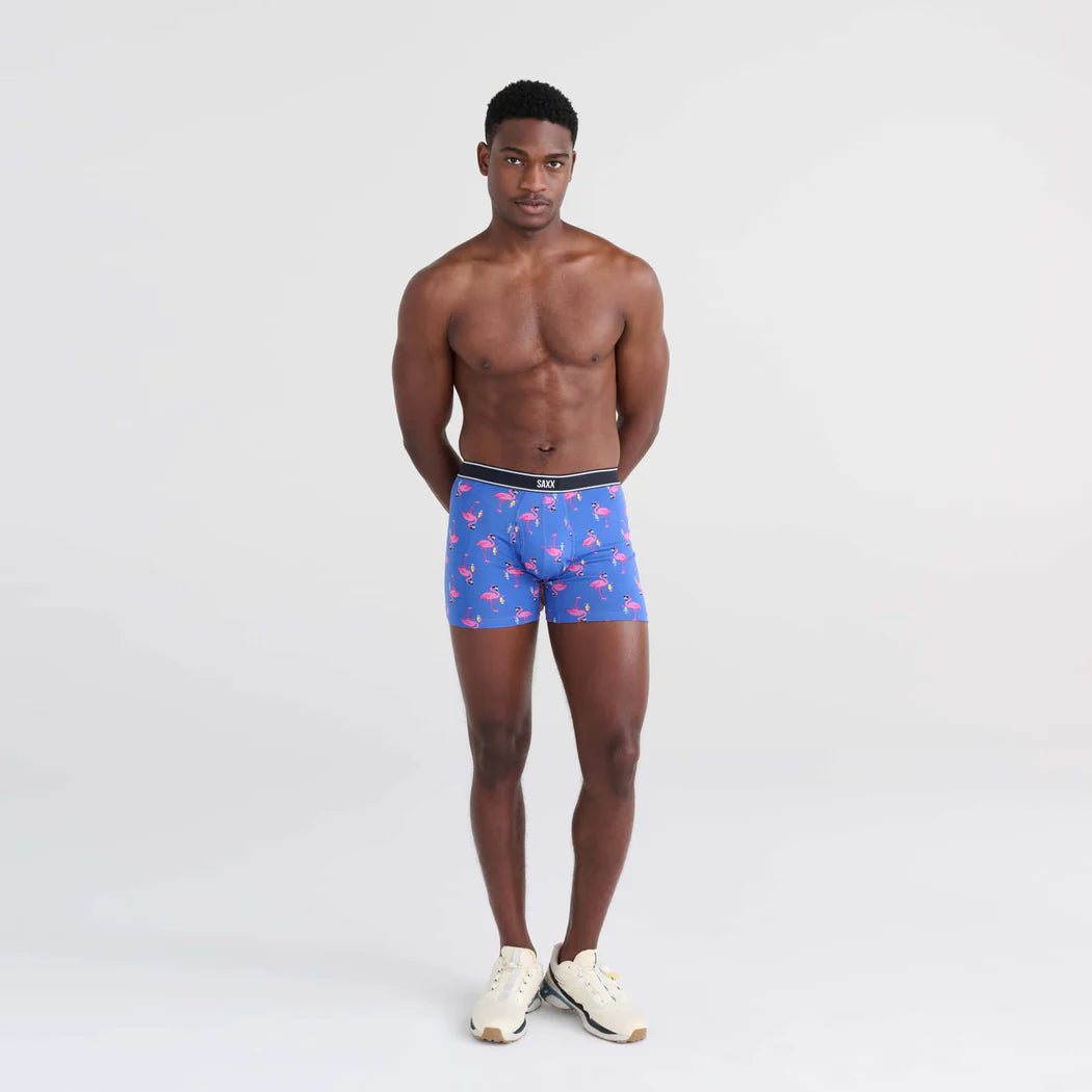 Pack de 2 boxers Saxx Daytripper Flocktail Hour/Black