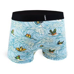 Boxer court Feel : Surf Birds