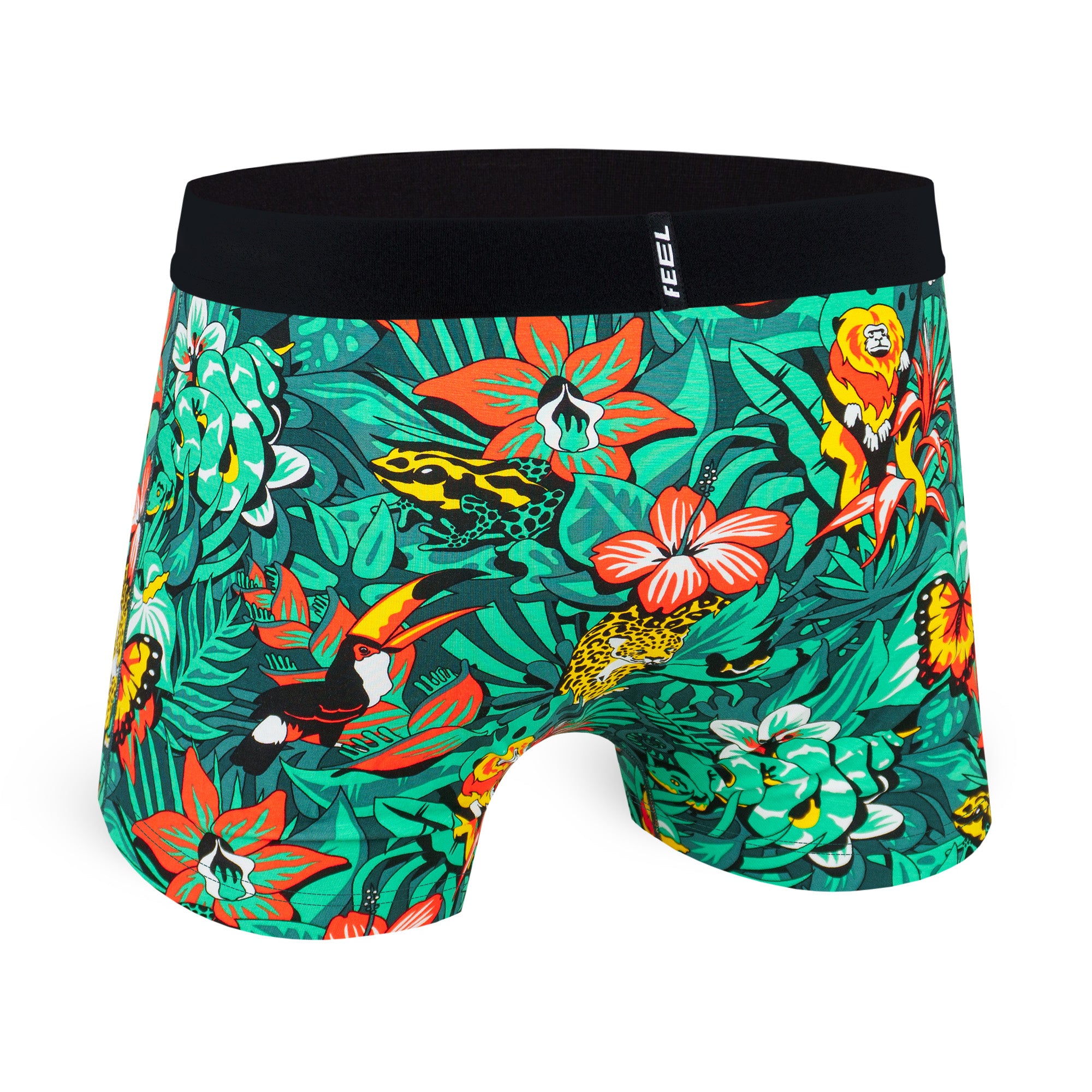 Boxer court Feel : Jungle