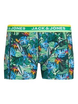 Boxer court Jack & Jones Miami Jolly Green