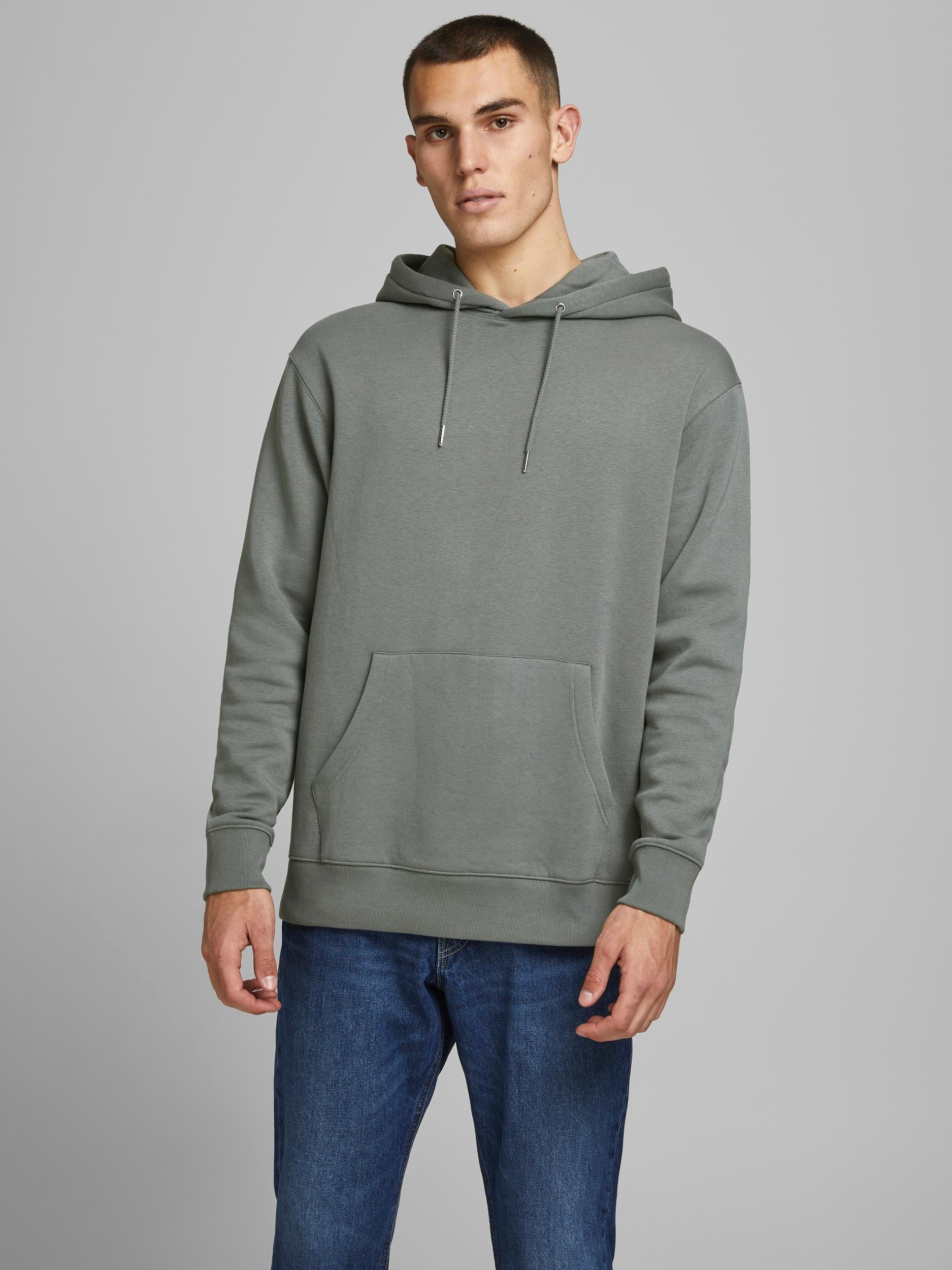 Jack Jone ESoft Sedona Sage Hoodie