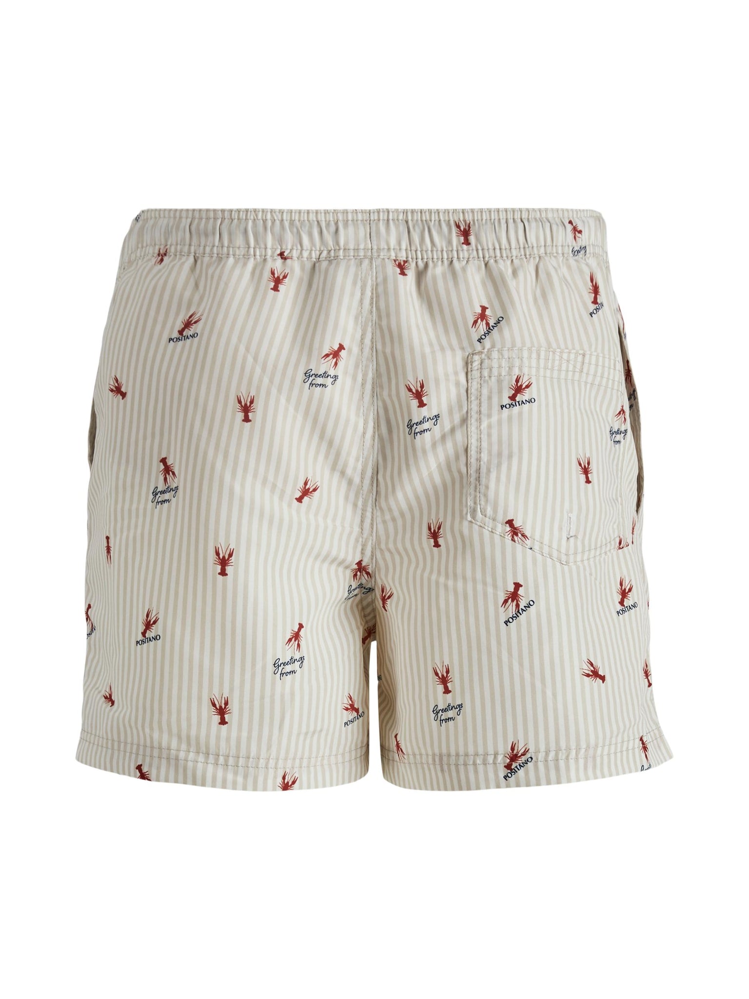 Jack &amp; Jones Diaz Peyote swimsuit 