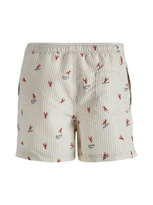 Jack &amp; Jones Diaz Peyote swimsuit 