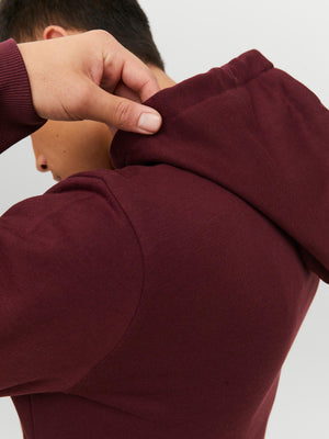 Chandail à capuchon Jack & Jones Stamp Port royal
