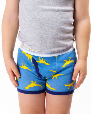 Boxer Mininuanya Kids yellow dinosaurs