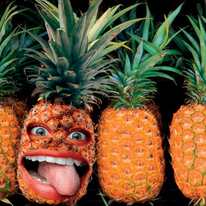 Boxer Funzy face d'ananas