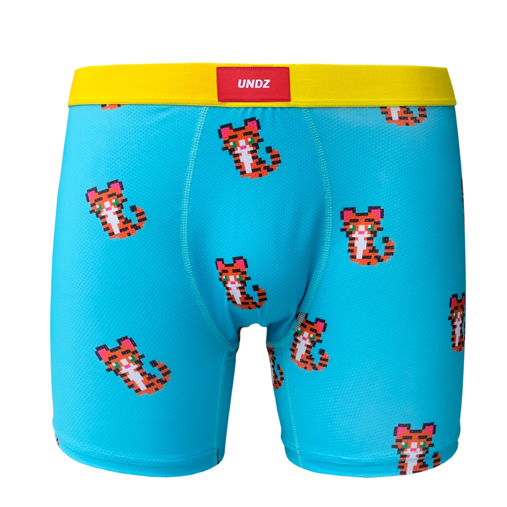 Undz - Kids Boxer Brief : Tiger – Mesbobettes